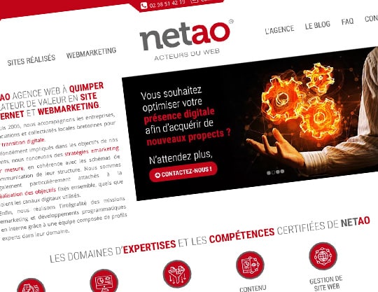 visuel site netao accueil