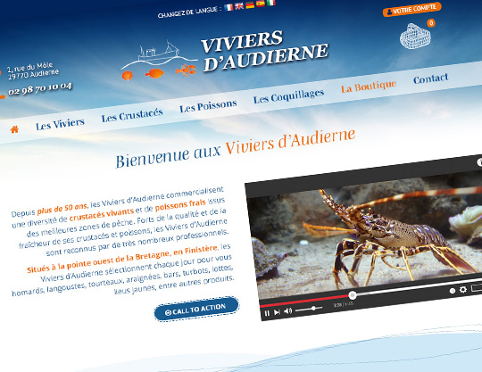 Refonte du site – Viviers d’Audierne