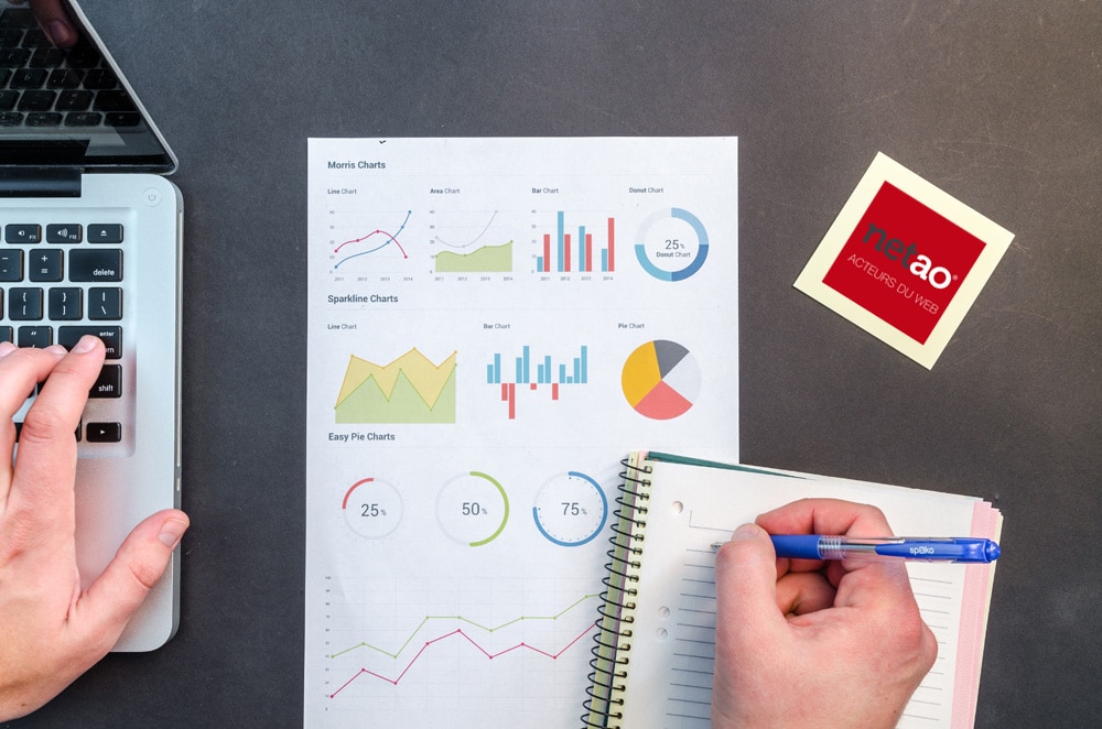 audit-emarketing-netao