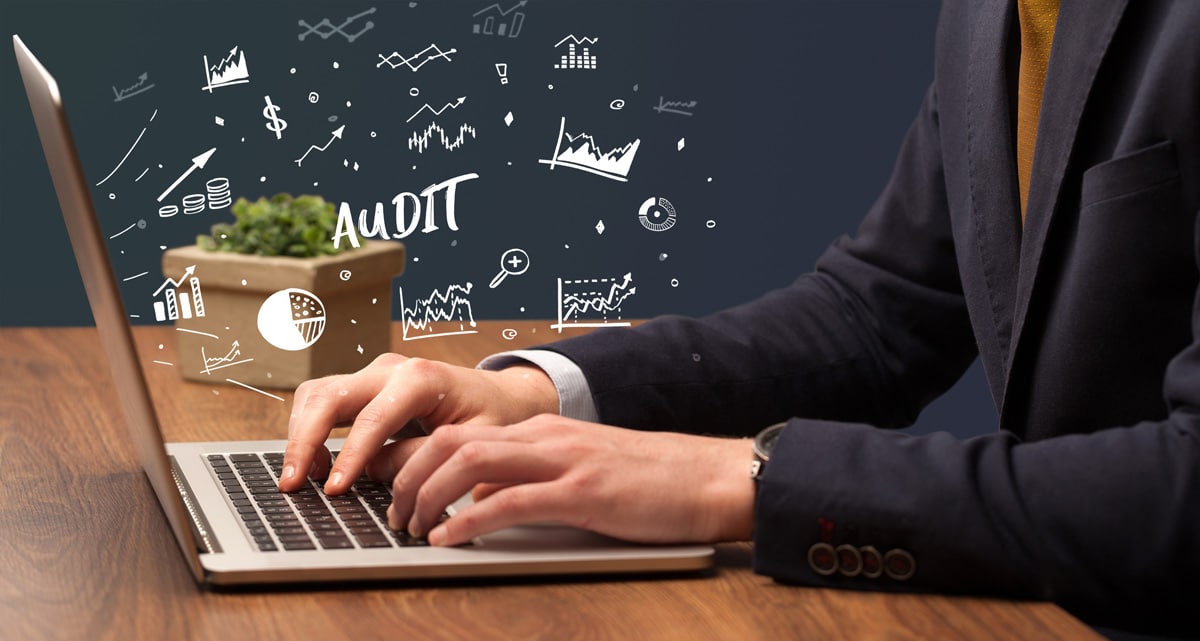 Audit e-marketing de netao