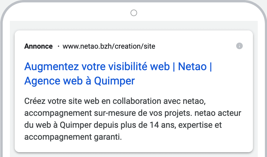 Google Ads netao