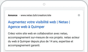 Google Ads netao