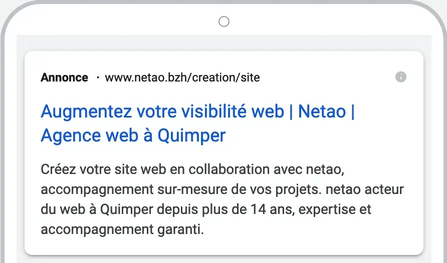 Google Ads netao