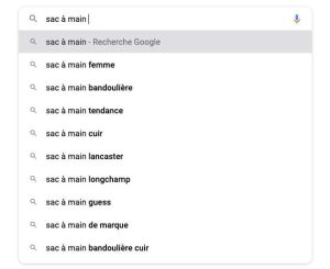 Un exemple d'auto-complétion par Google
