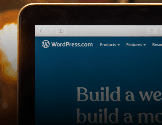 pourquoi utiliser wordpress pour votre entreprise_3