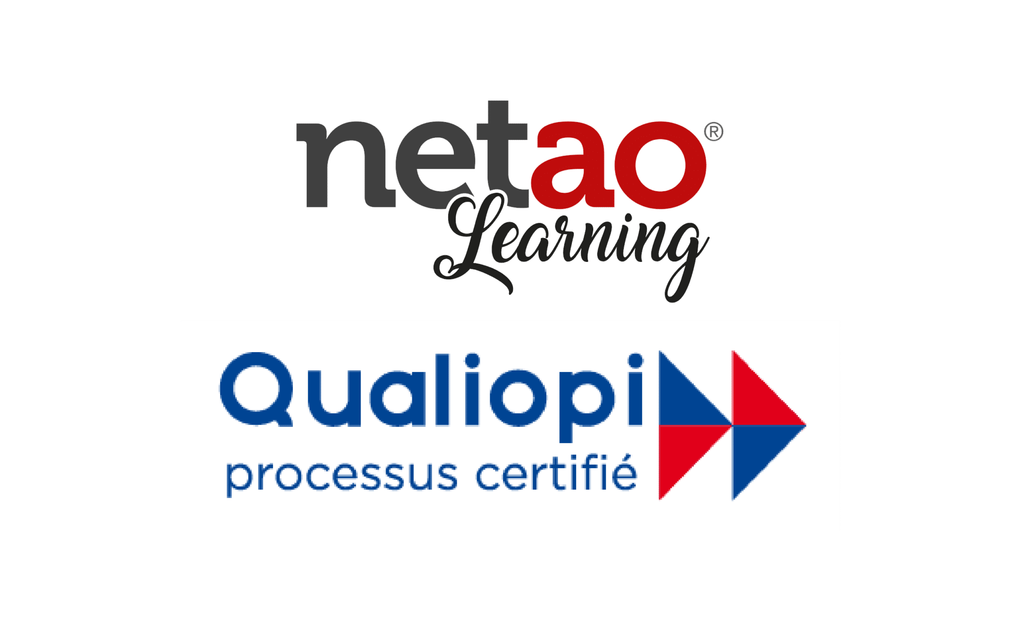 lancement netao learning