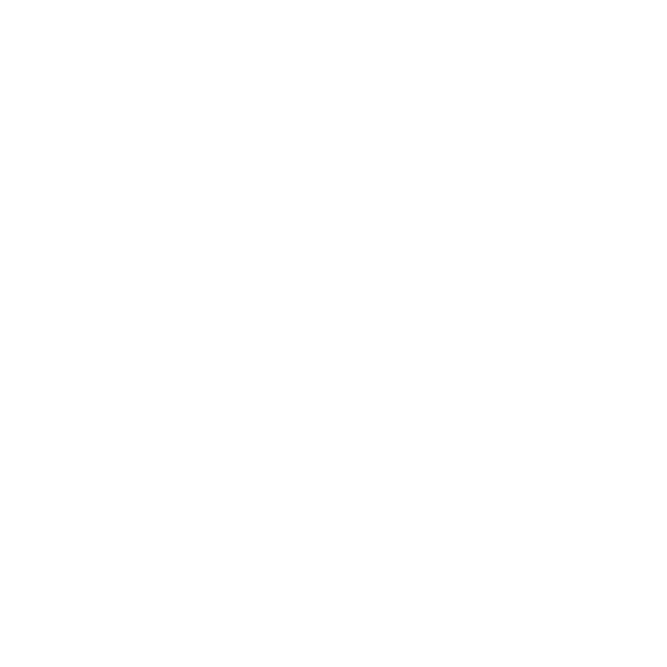 Handisport Quimper