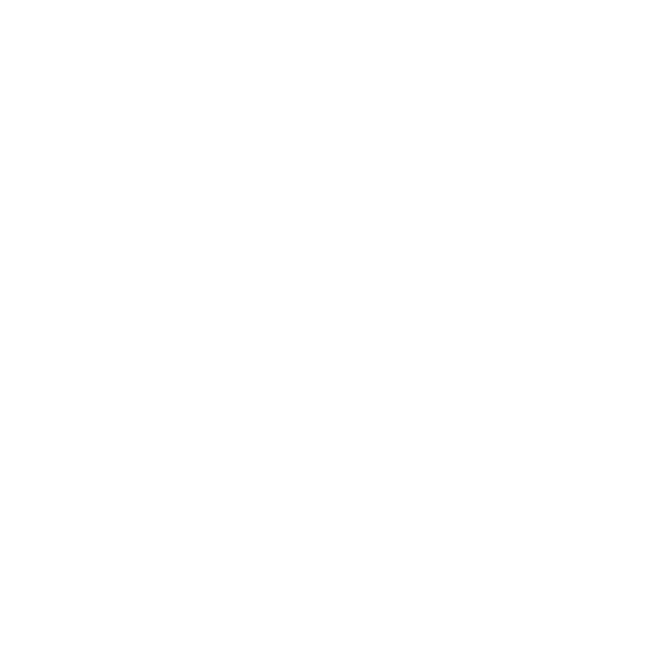 L’optimiste