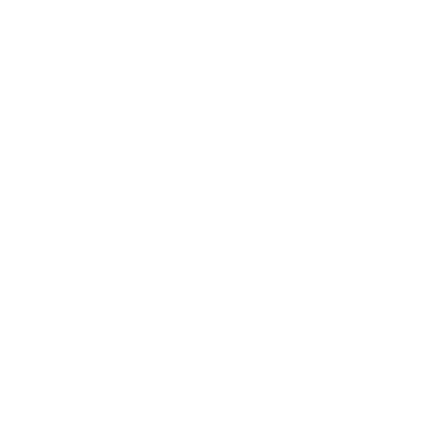Sellerie Carlier