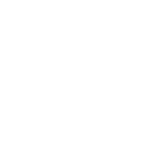 Armor Céramique