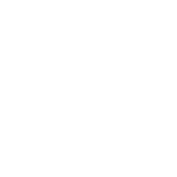 logo barraine